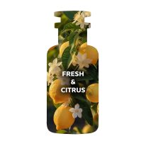 FRESH-&-CITRUA--ENGLISH